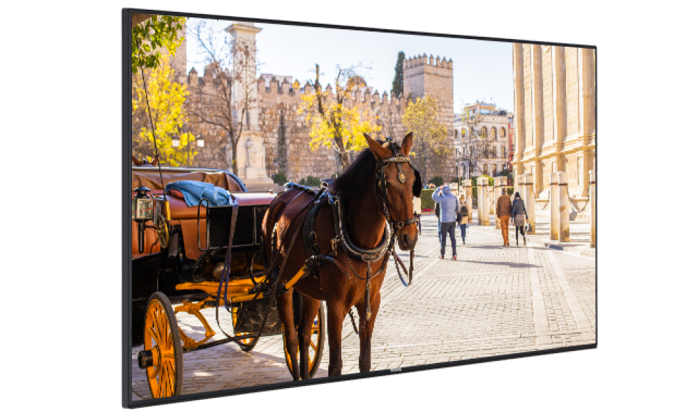 Vestel VB55B2 UHD 55 inch scherm afbeelding