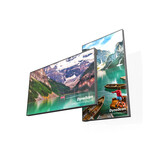 DynaScan DynaScan DS491LT4 DynaScan DynaScan DS491LT4