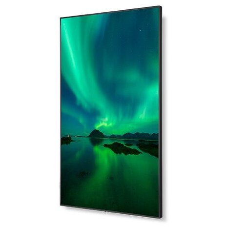 NEC NEC MultiSync C861Q display NEC NEC MultiSync C861Q display