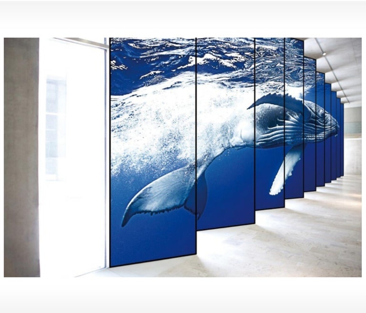 LG LG 88BH7G Ultra ruimtelijke breedbeeldscherm - Copy LG LG 88BH7G Ultra ruimtelijke breedbeeldscherm - Copy