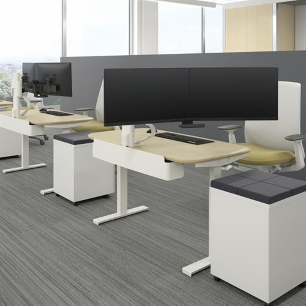 Ergotron Ergotron TRACE Dual monitor mount