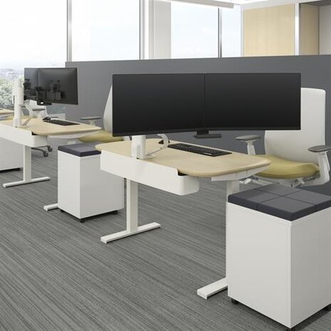 Ergotron Ergotron TRACE Dual monitor mount