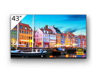 Sony Sony FW-43BZ35F 4K UHD digital signage