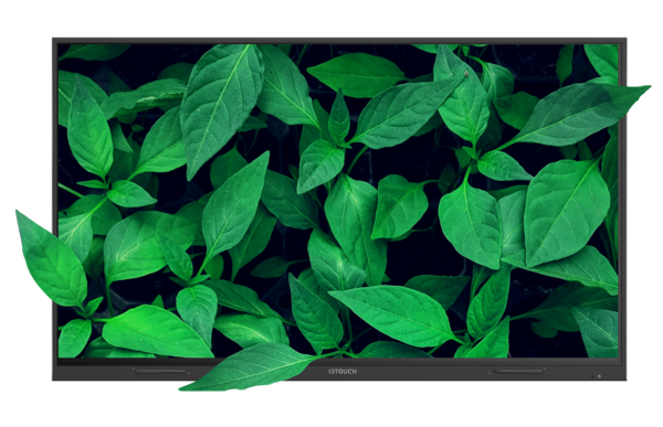 i3 Technologies i3TOUCH EX75i interactive flatpanel i3 Technologies i3TOUCH EX75i interactive flatpanel