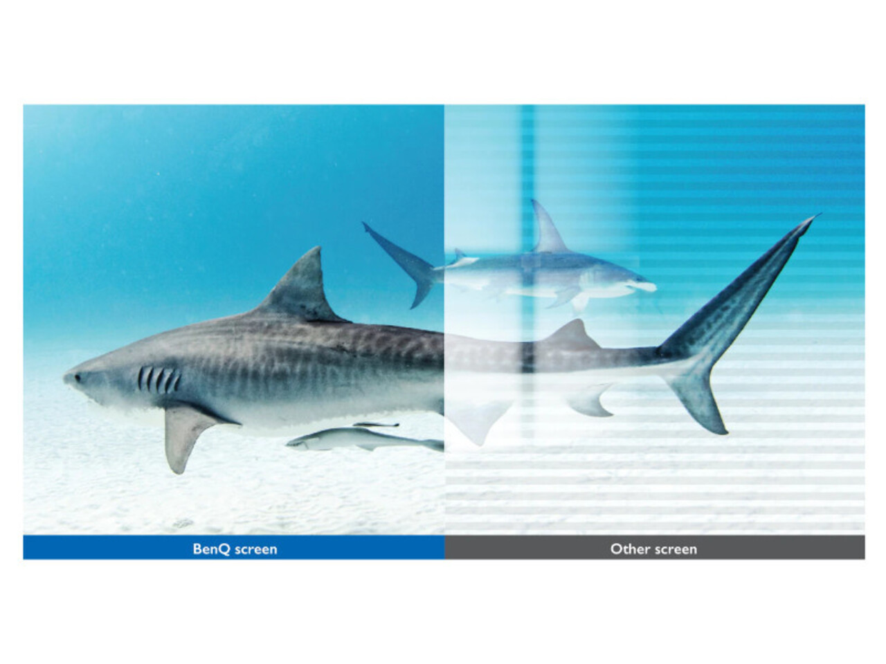 BenQ BenQ RM7503 4K UHD interactief touchscreen BenQ BenQ RM7503 4K UHD interactief touchscreen