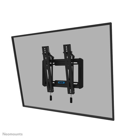 Neomounts Neomounts by Newstar tv wandsteun 24-55"