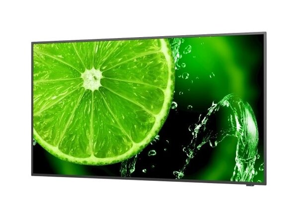 NEC NEC MultiSync E498 display NEC NEC MultiSync E498 display