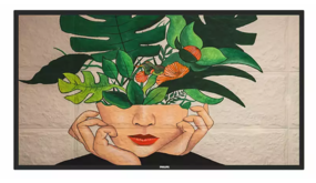 Philips Philips 50BDL4511D/00 Philips Philips 50BDL4511D/00