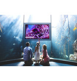 Philips Philips 55BDL4511D 55 inch FHD D-Line-display
