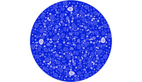 GoboService Gobo projectieplaat diverse thema GoboService Gobo projectieplaat diverse thema