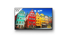 Sony Sony FW-55BZ35L Sony Sony FW-55BZ35L