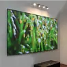 Elite Screens Elite Screens Aeon Edge Free CLR3 HDTV Elite Screens Elite Screens Aeon Edge Free CLR3 HDTV