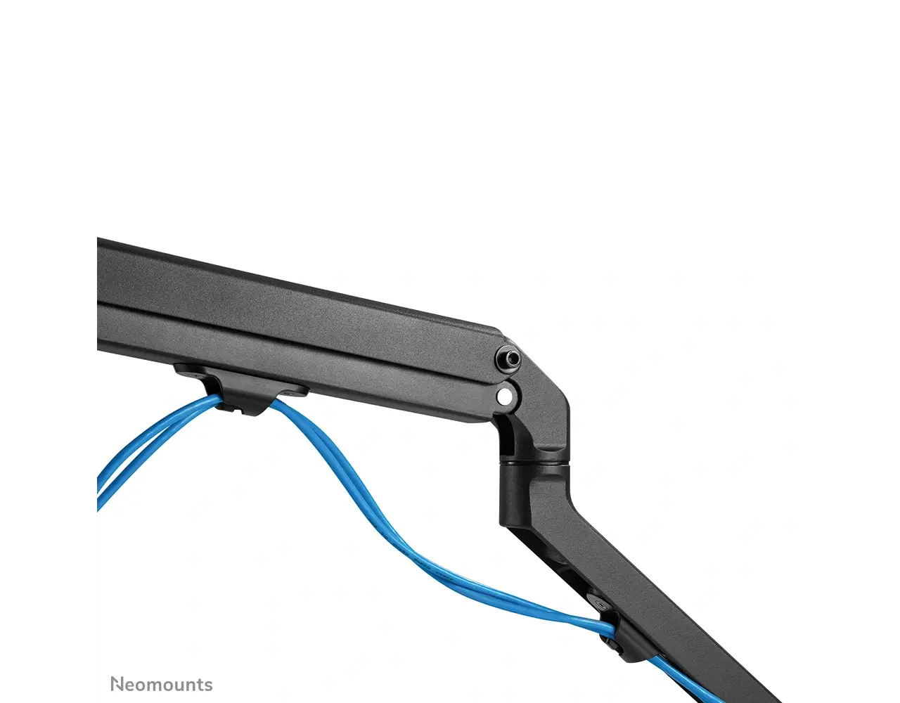 Neomounts Neomounts FPMA-D650DBLACK dubbele monitor arm Neomounts Neomounts FPMA-D650DBLACK dubbele monitor arm