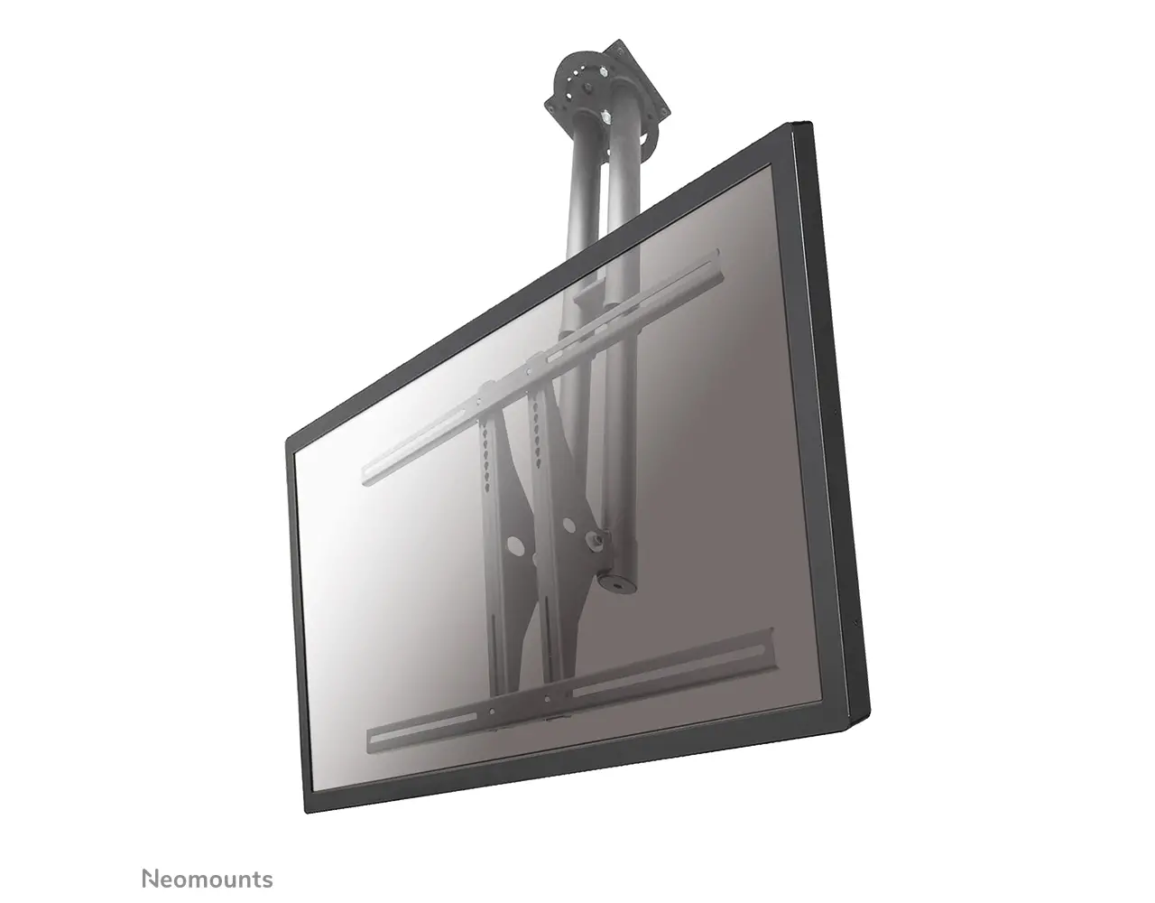 Neomounts Neomounts PLASMA-C100 display plafondbeugel Neomounts Neomounts PLASMA-C100 display plafondbeugel