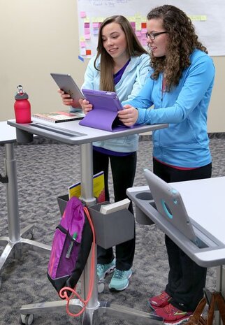 Ergotron Ergotron LearnFit