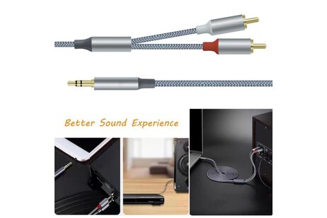 3,5 mm naar 2RCA audiokabel 1 m - DCH-2936 - Grijs
