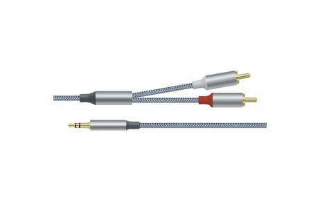3,5 mm naar 2RCA audiokabel 1 m - DCH-2936 - Grijs