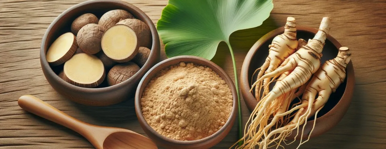 maca-ginseng-ginkgo-biloba-ingredienten-natuurlijke-erectiepillen