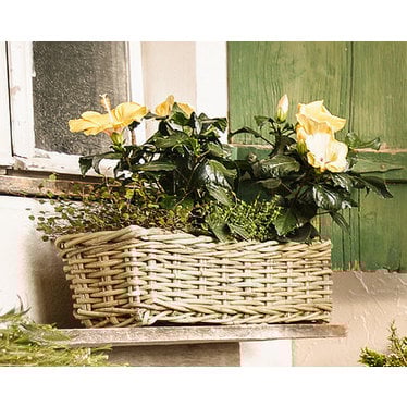 Blumenkasten „Rattan“, ca. 60 x 16 x 15 cm