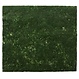 Moos-Matte, 45 x 40 cm | 5er-Vorteilspack