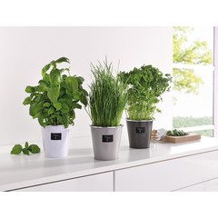 Übertopf "Herbs", 3er Set