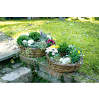 Pflanzkorb "Weidenschale", 2er Set