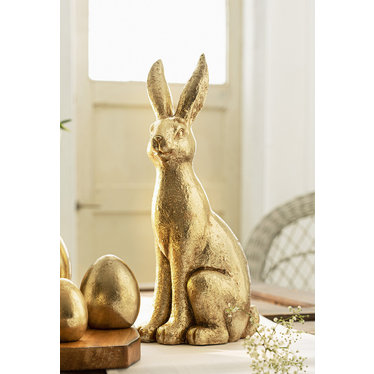 Hase "Gold"