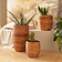 Pflanztopf "Rattan", 2er Set