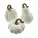 Kürbis-Set "Weiss", 3er Set