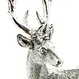 Figuren "Wild", 2er Set