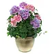Kunstpflanze "Hortensie"
