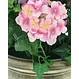 Kunstpflanze "Hortensie"