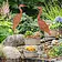 Gartendeko "Birds", 2er Set