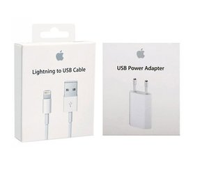 Thriller Kaal Wonen Apple iPhone Originele Lightning oplader met 100cm USB-kabel - Diamtelecom