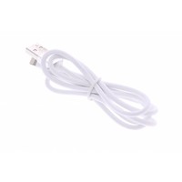 iPhone 5 / 6 Lightning naar USB-kabel 100cm