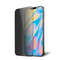 Apple iPhone 11 Pro Max  Privacy Screenprotector - Glas