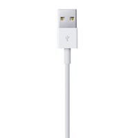 iPhone 5 / 5S / 5SE / 6 / 6S / Lightning naar USB-kabel 100cm