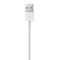 Apple iPhone 5 / 6 Originele Lightning naar USB - Oplaadkabel 200cm