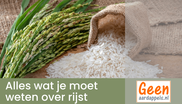 Alles wat je moet weten over rijst