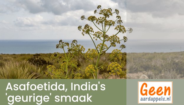 Asafoetida, India's ‘geurige’ smaak