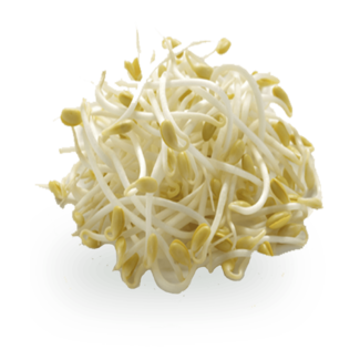 Bean Sprouts, 200 g