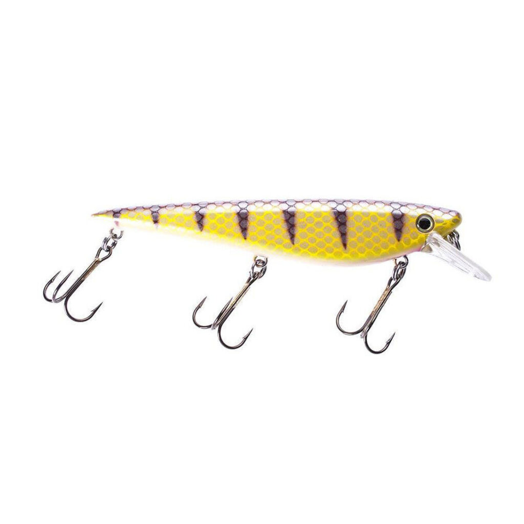 Krave Jr 8, Walleye