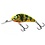 Salmo Floating Rattlin' Hornet 6,5 Gold Fluo Perch