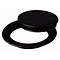 Tempress Deck Plate Black 8" Pry Out