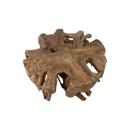 HSM Collection Spider Coffee Table - 80x80x40cm - Teak Root