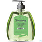 Dermalex Dermalex Handwash Detox 300ml