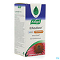 A. Vogel A.Vogel Echinaforce Junior + vit C 80 comprimés