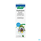 A. Vogel Vogel Collyres Fl Compte Gutt 10ml