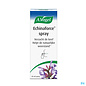 A. Vogel Vogel Echinaforce Spray Gorge 30ml