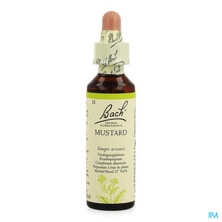 Bachflowers Bach Flower Remedie 21 Mustard 20ml